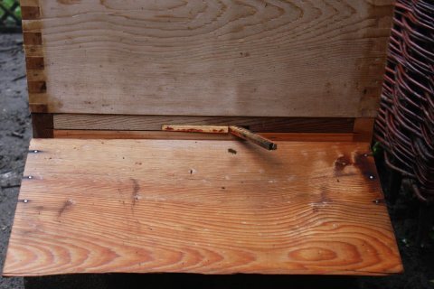 a simple wasp guard made from pieces of National brood frames.