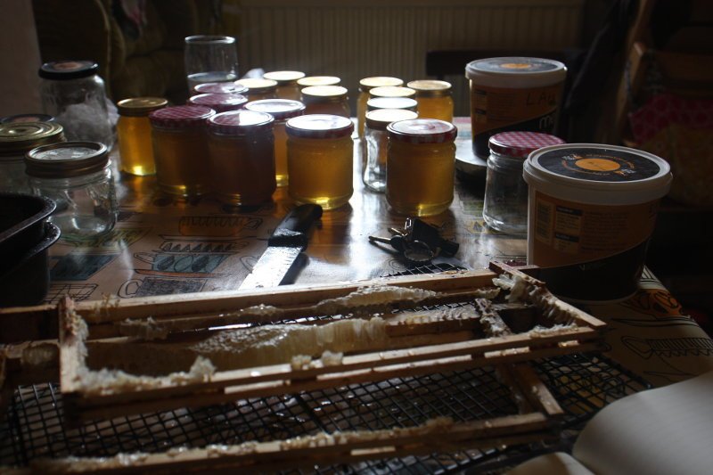 Jars and empty frames after the harvest